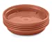 3"/4" Terracotta Saucer for Pot