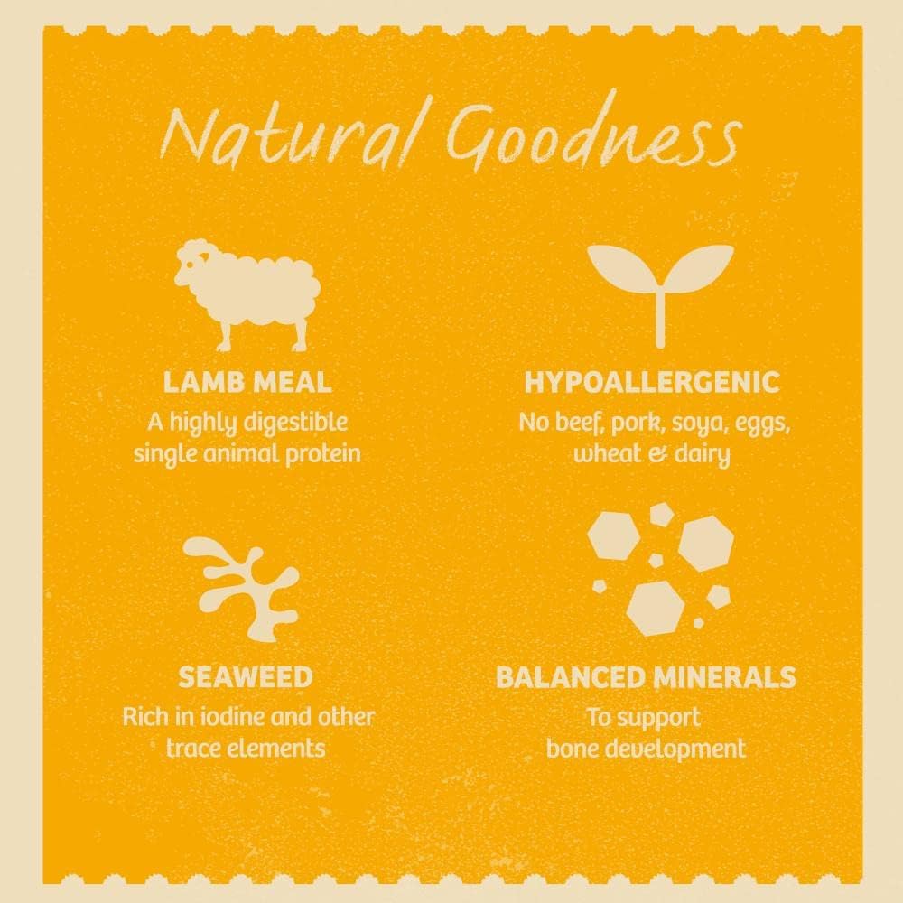 James Wellbeloved Puppy Lamb in Gravy 10 Pouches, Hypoallergenic Wet Dog Food, (10 x 150 g)