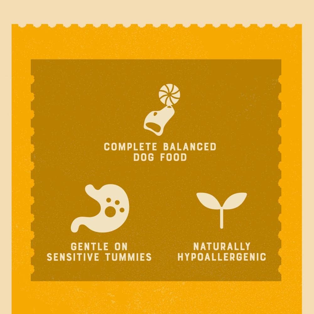 James Wellbeloved Seniour Dog Lamb Pouch 10x150G