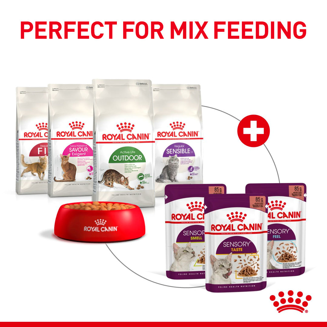 Royal Canin Sensory Taste In Gravy Adult Wet Cat Food, 85g x 12 Pack
