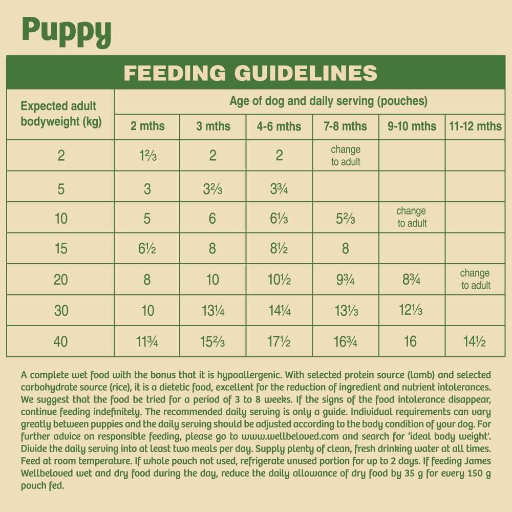 James Wellbeloved Puppy Lamb in Gravy 10 Pouches, Hypoallergenic Wet Dog Food, (10 x 150 g)