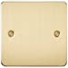 Flat Plate 1G blanking plate - brushed brass