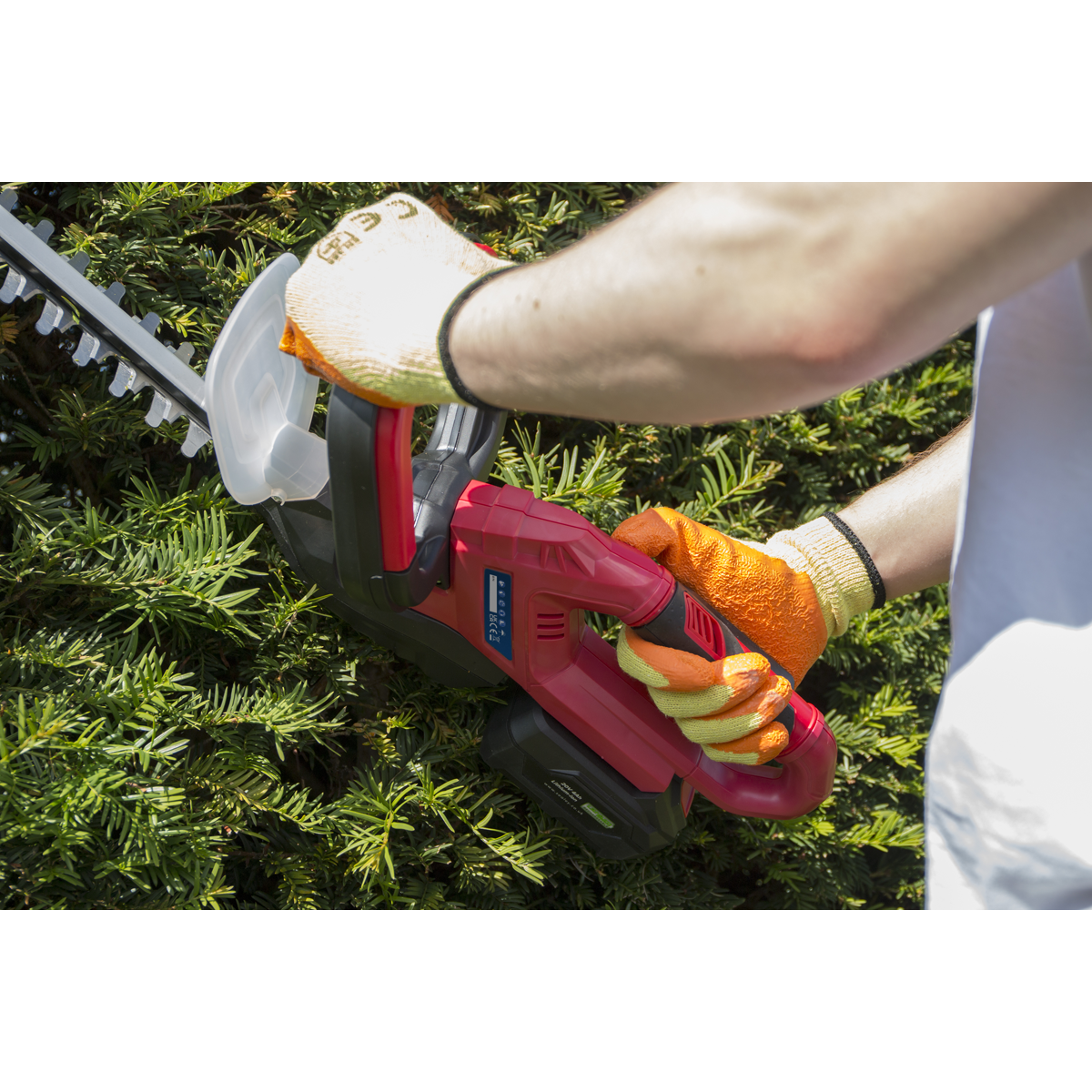 20V Cordless 520mm Hedge Trimmer - Body Only