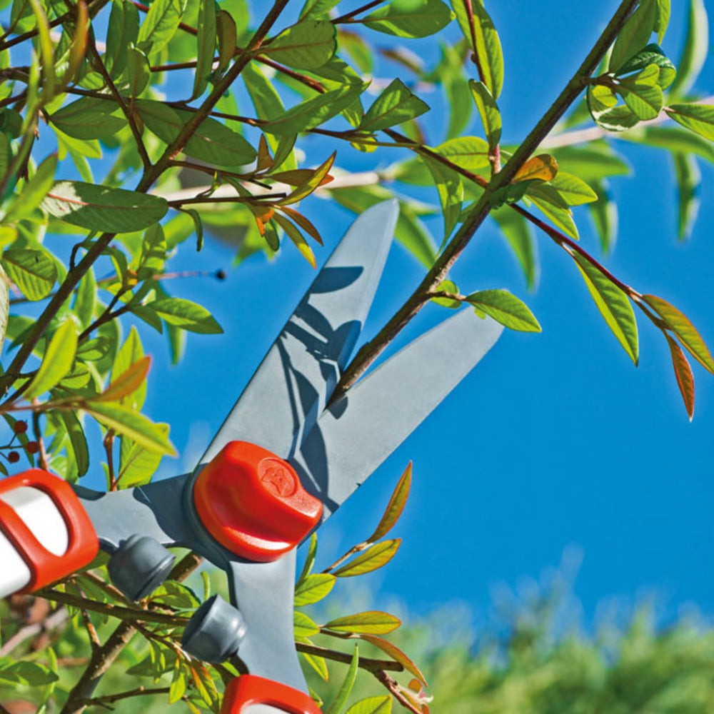 Telescopic Hedge Shear