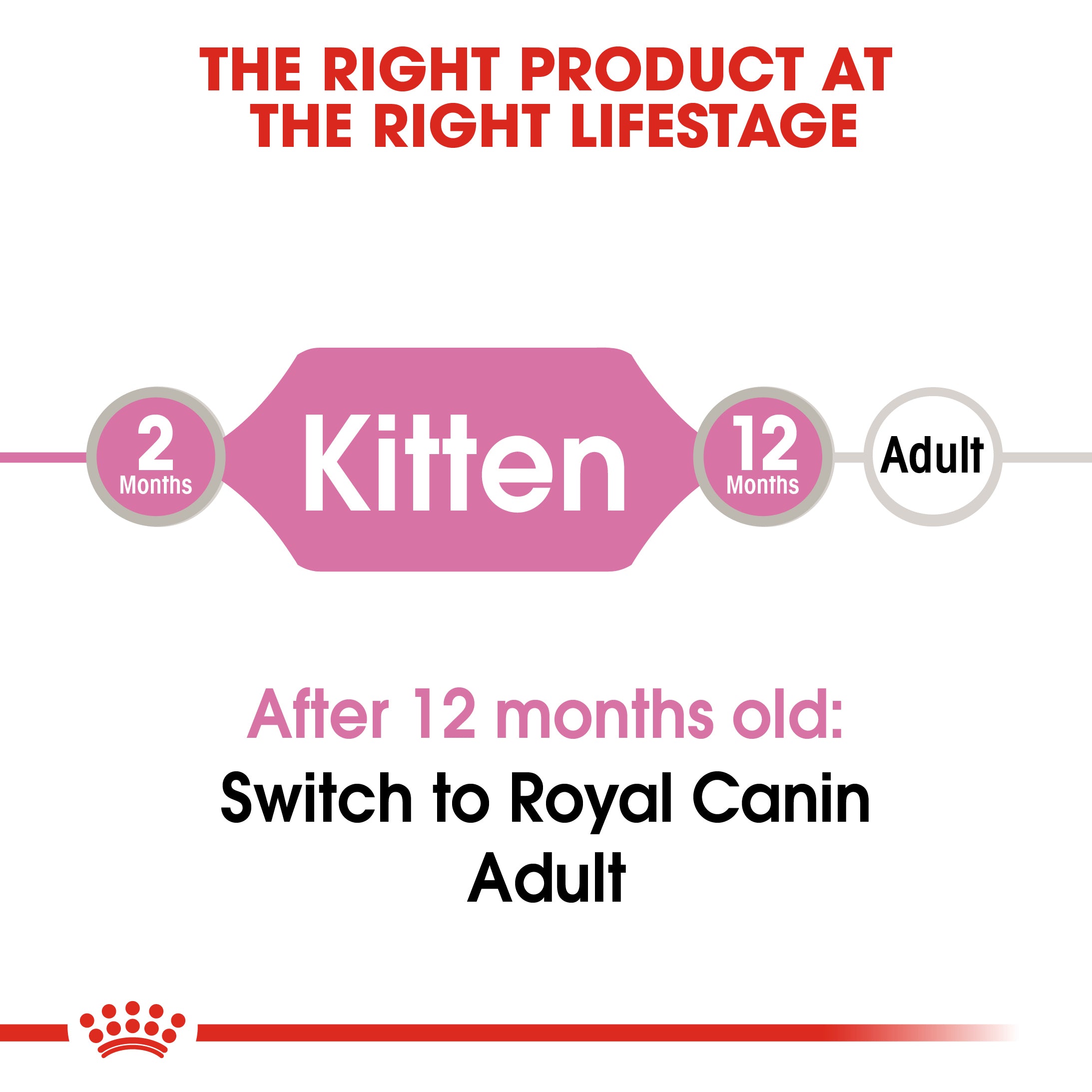 ROYAL CANIN Kitten in Gravy Wet Food, 85g x 12 Pack