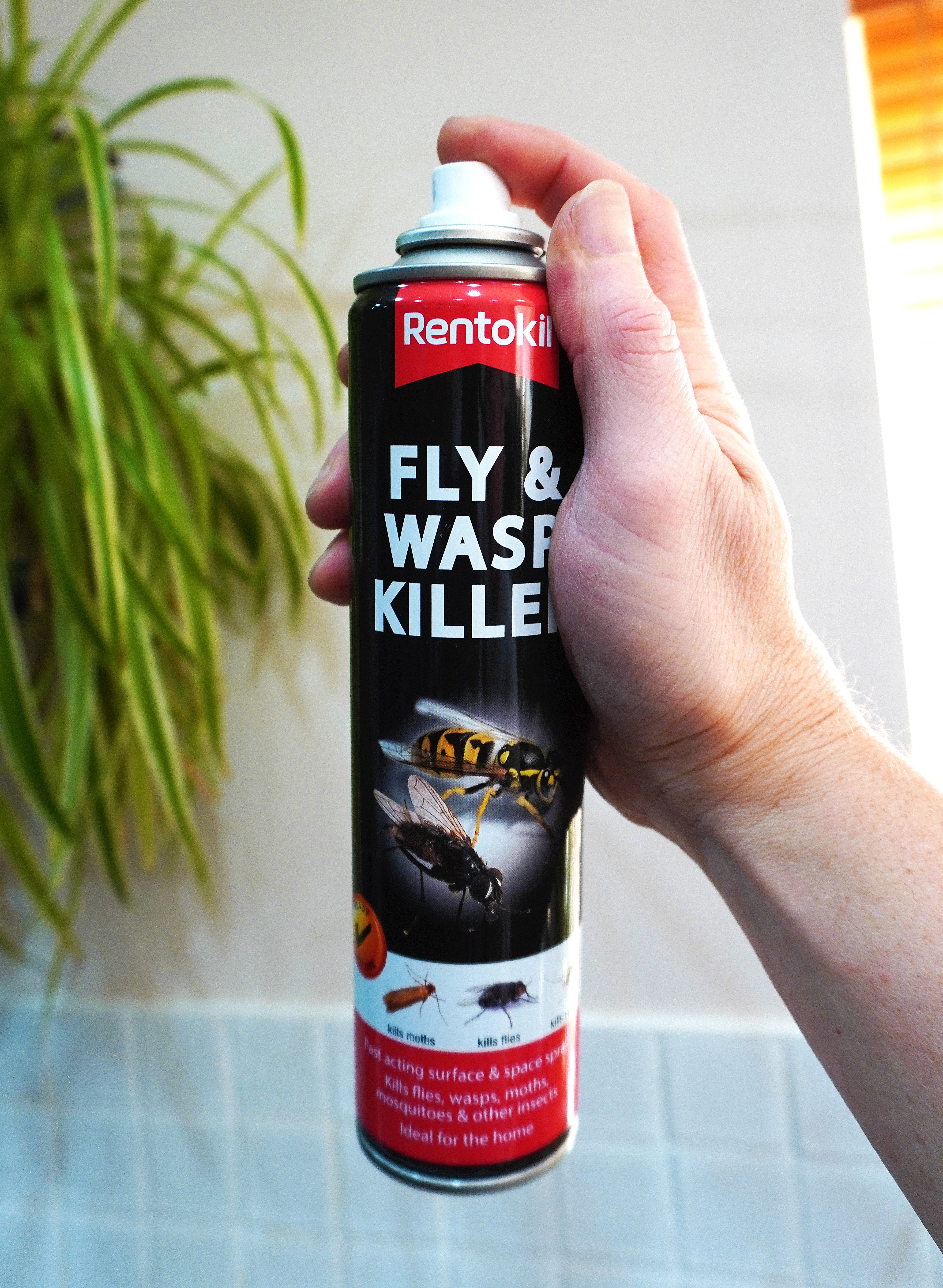 Fly & Wasp Killer Aerosol 300ml