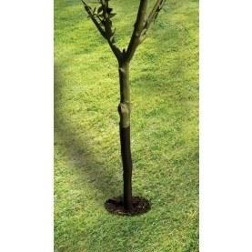 61cm Spiral Tree Guard