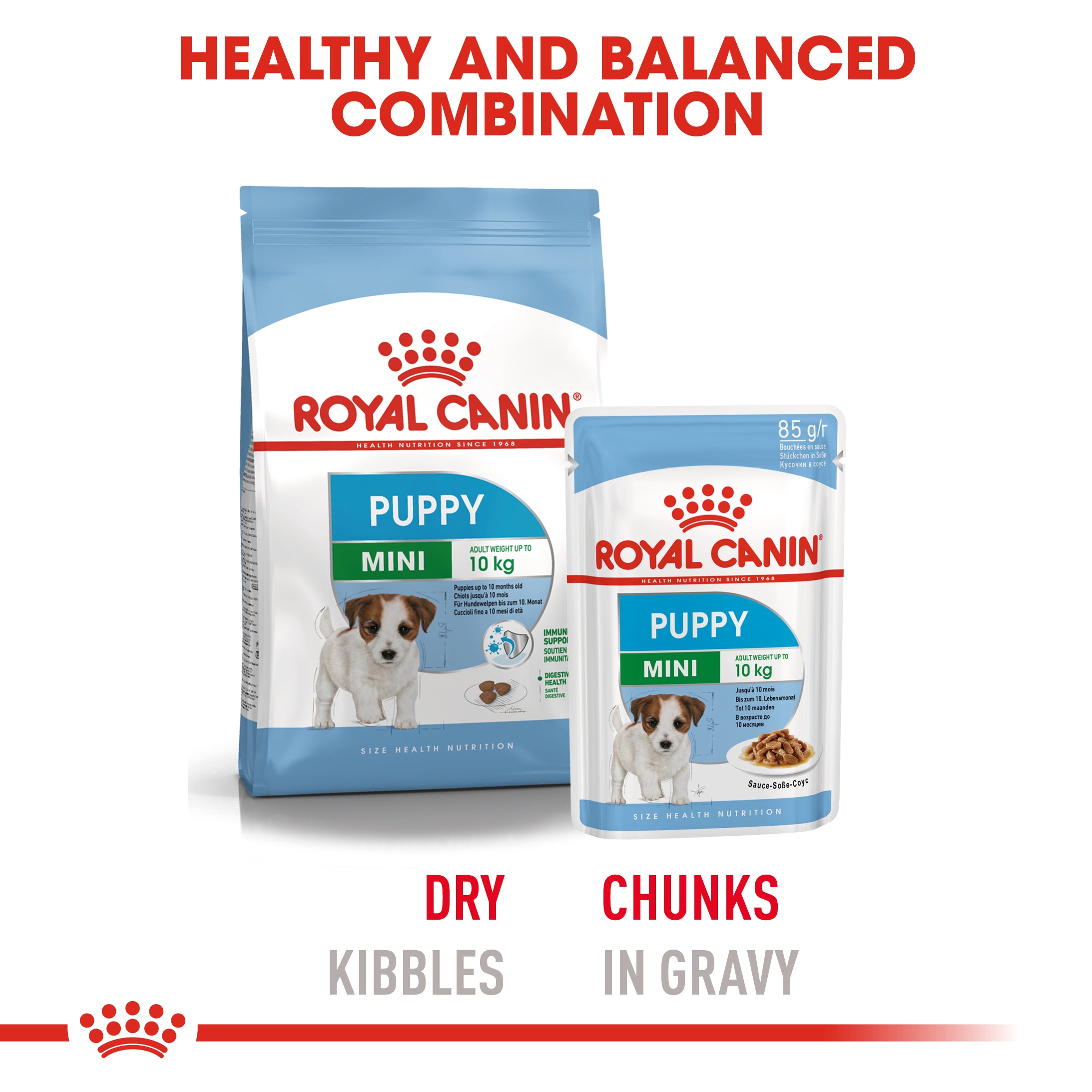 Mini Puppy in Gravy Wet Food, 85g x 12 Pack