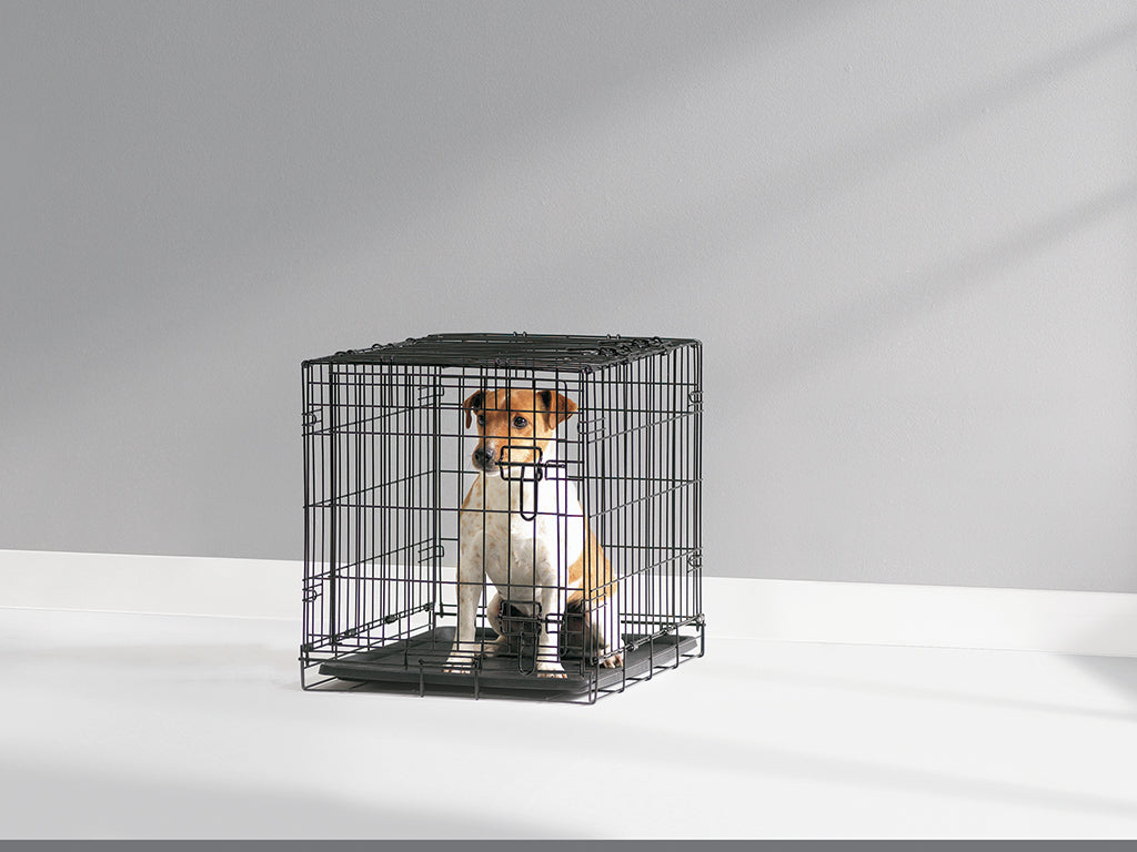 Black Dog Cottage Crate - 61cm