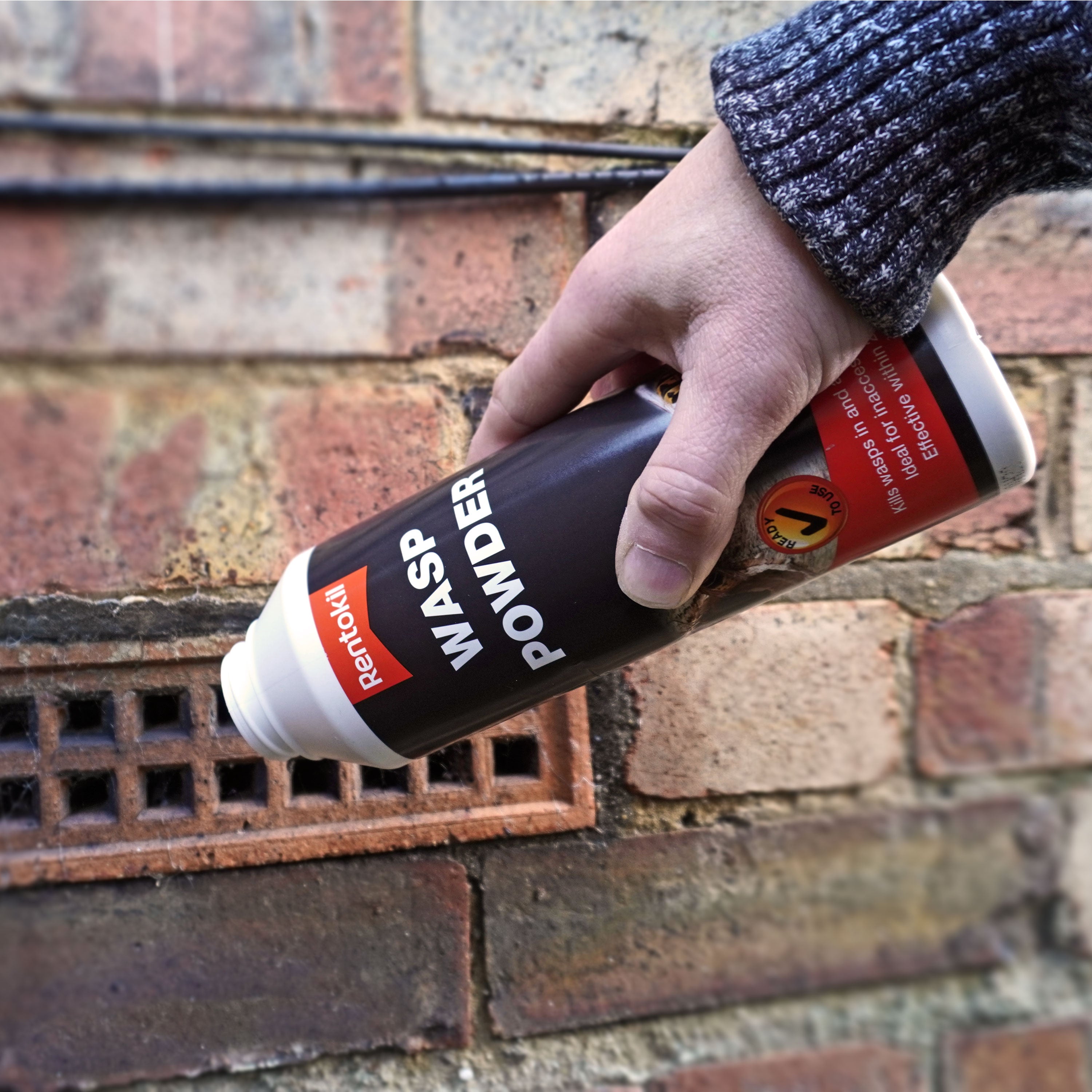 Wasp Killer Powder 300g