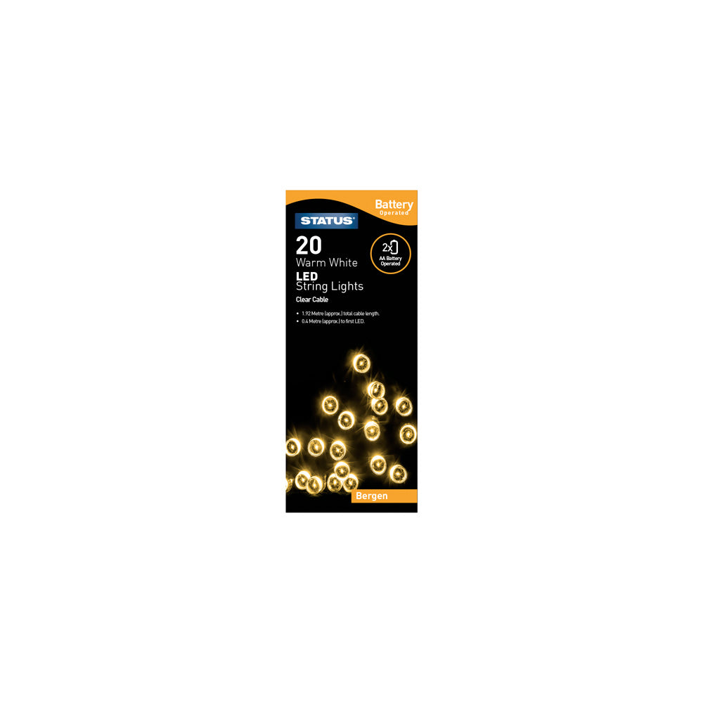 20 LED Indoor Battery String Lights - Warm White