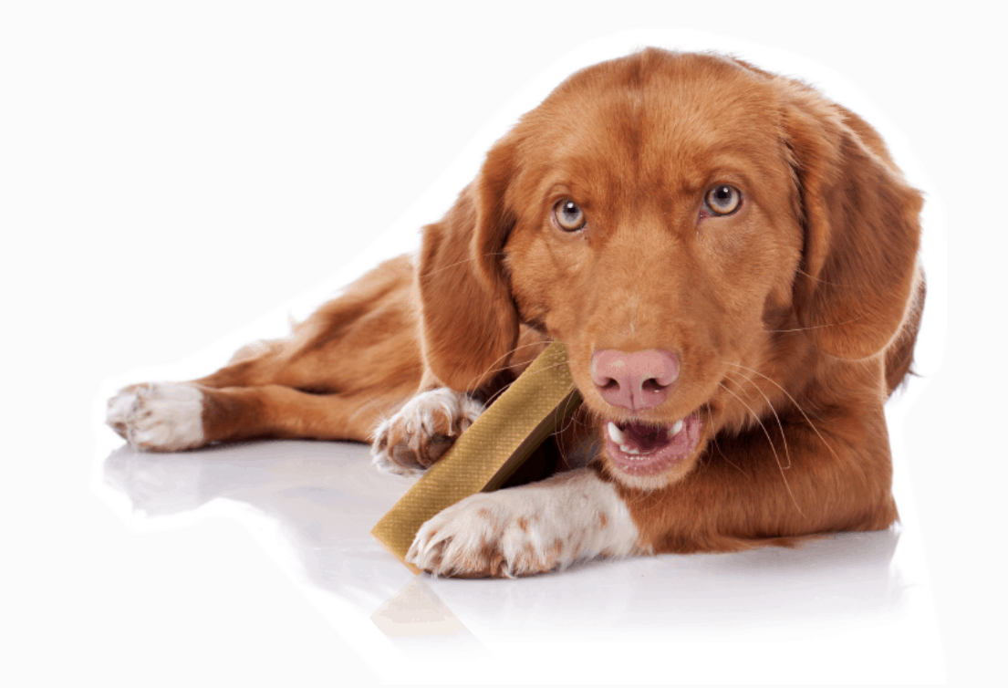 Dog Chew, Medium 70g