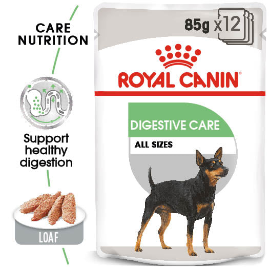 Digestive Care Wet Pouches Adult Dog Food in Loaf, 85g x 12 Pack