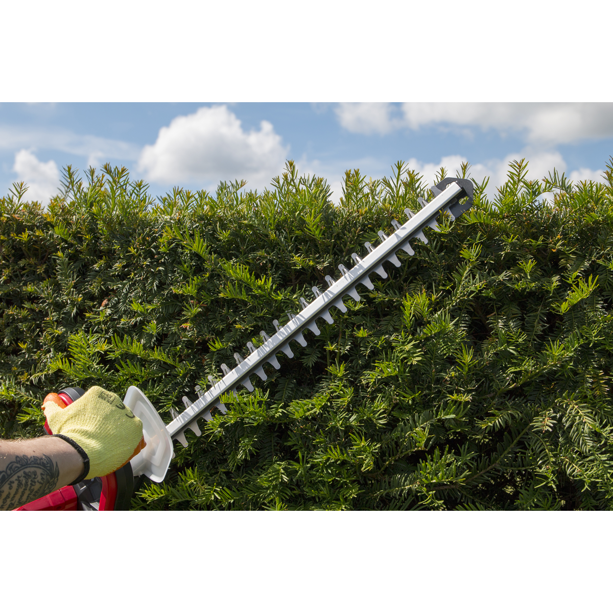 20V Cordless 520mm Hedge Trimmer - Body Only