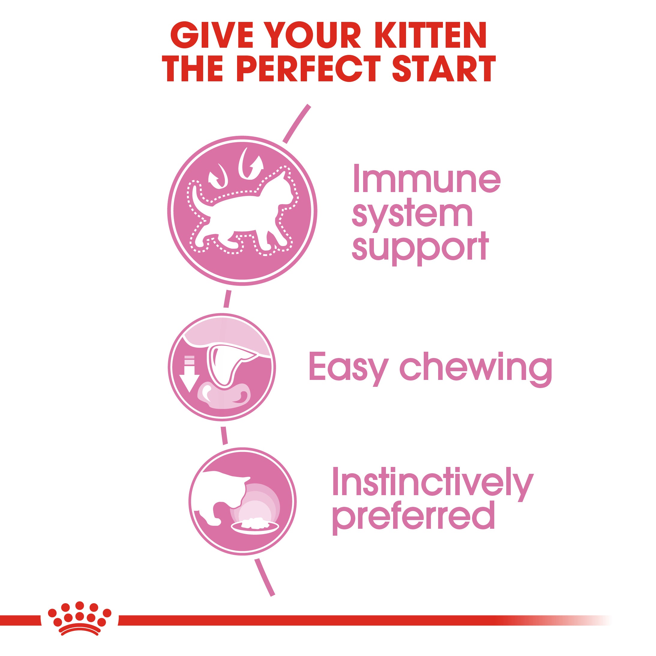 ROYAL CANIN Kitten in Gravy Wet Food, 85g x 12 Pack