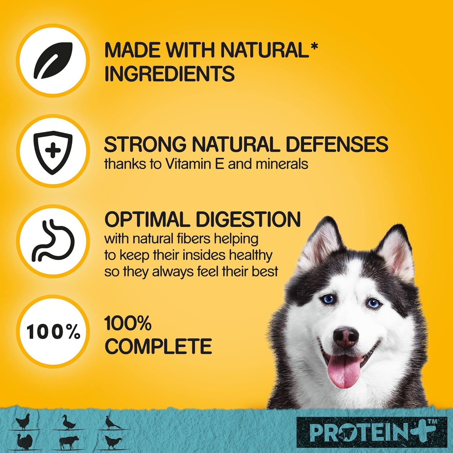 Pedigree Protein Plus Dog Food Tins – 6 x 400g | High Protein Wet Dog Food