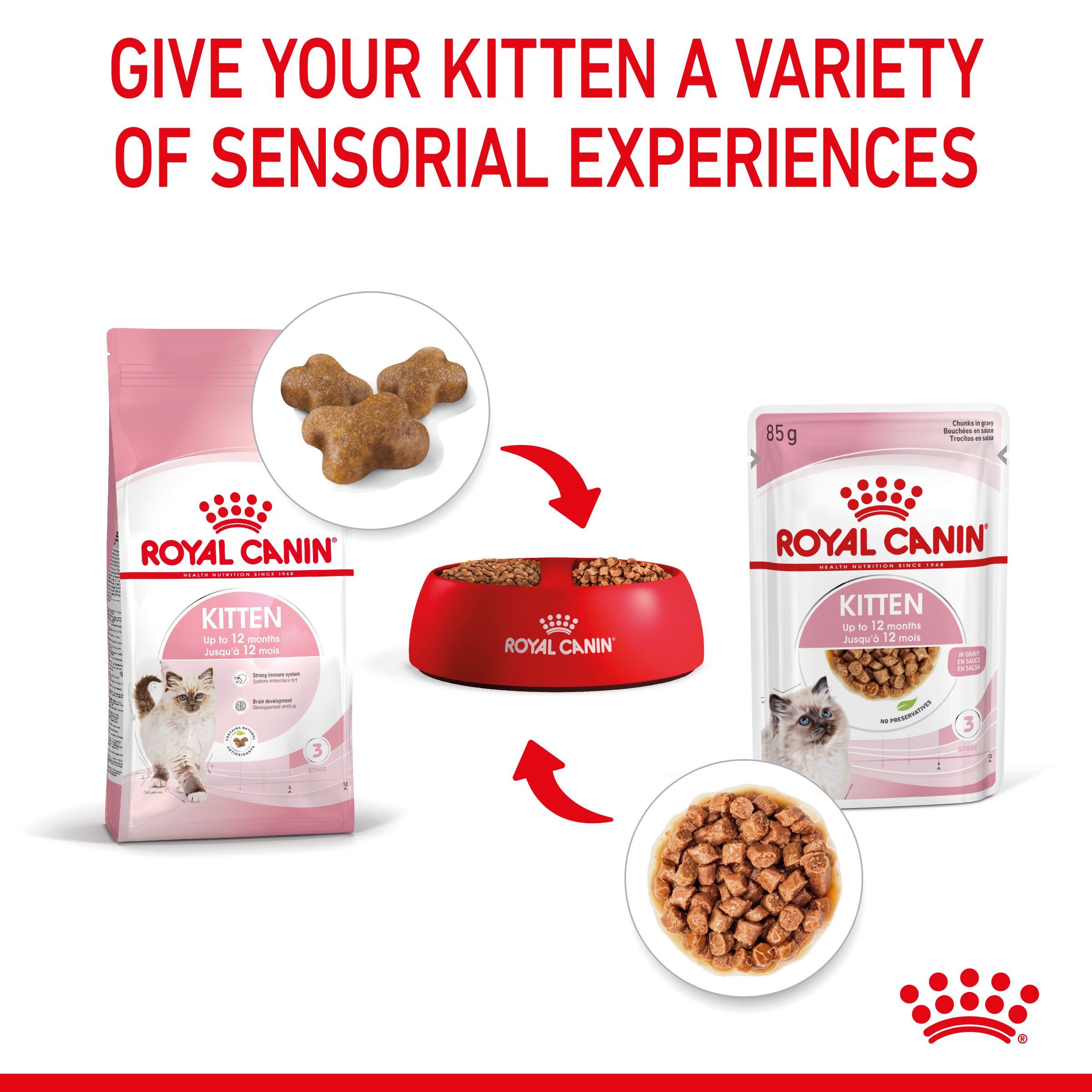 ROYAL CANIN Kitten in Gravy Wet Food, 85g x 12 Pack