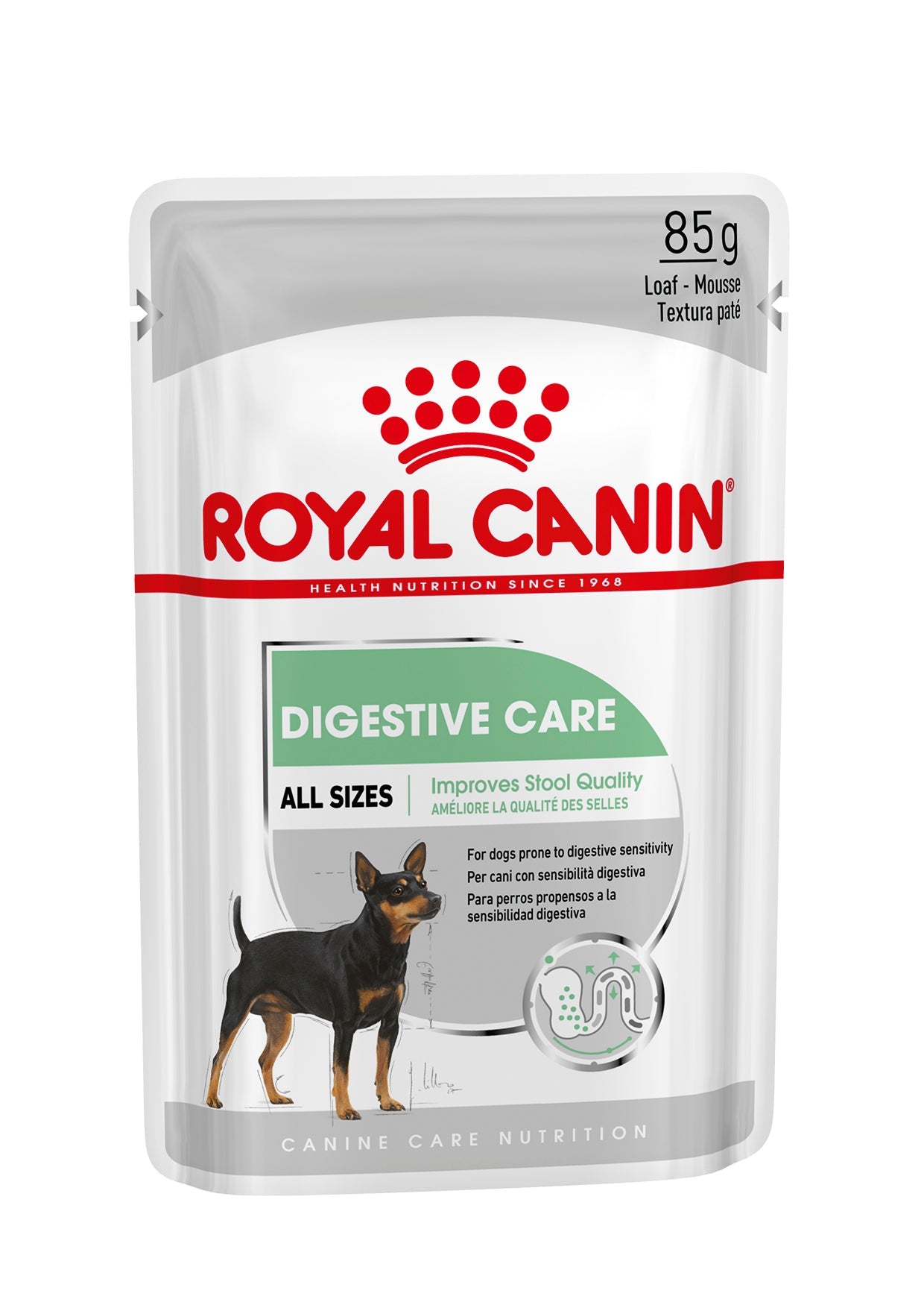 Digestive Care Wet Pouches Adult Dog Food in Loaf, 85g x 12 Pack