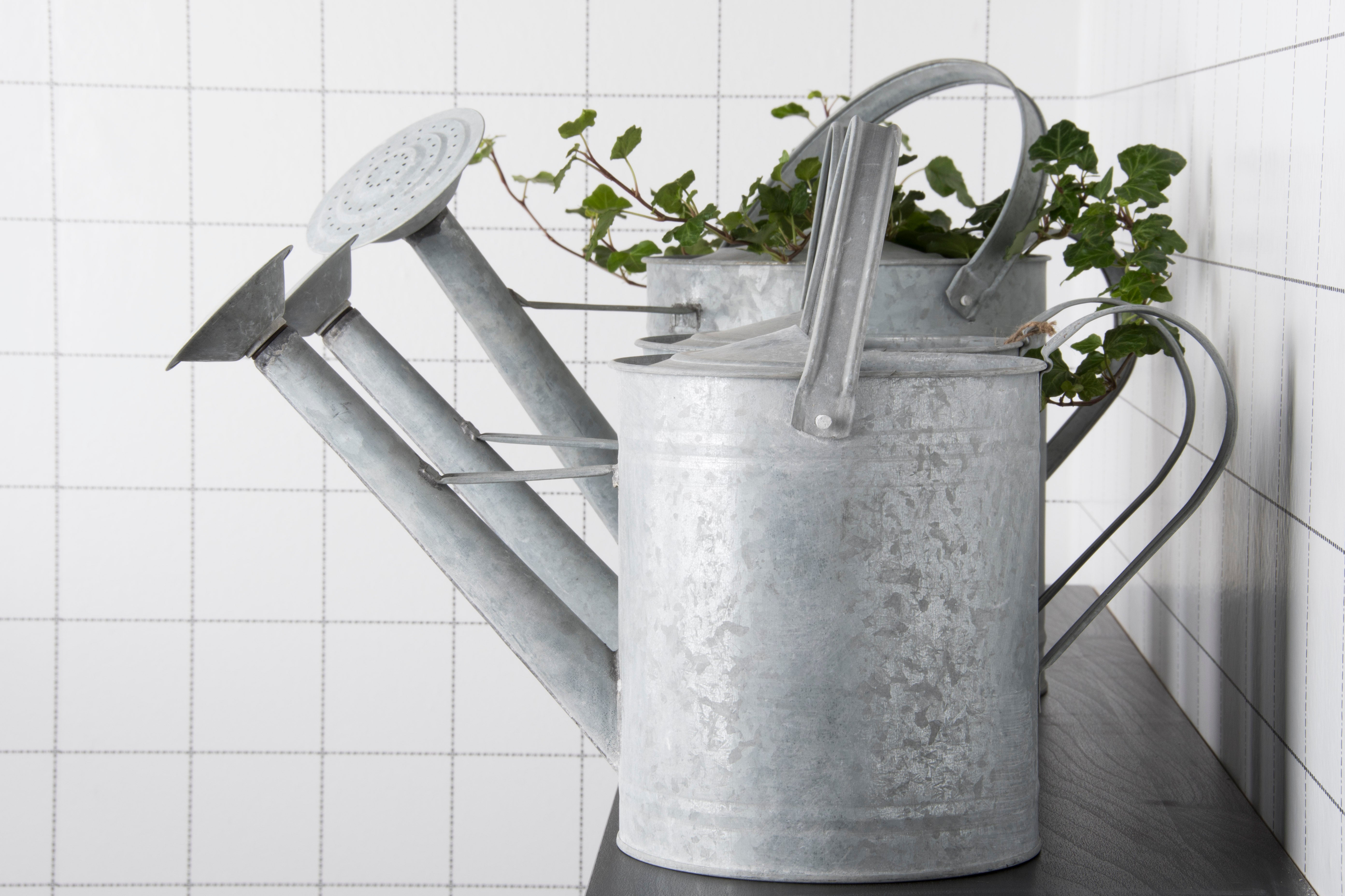 Old Zinc Watering Can, 3.6 Litre