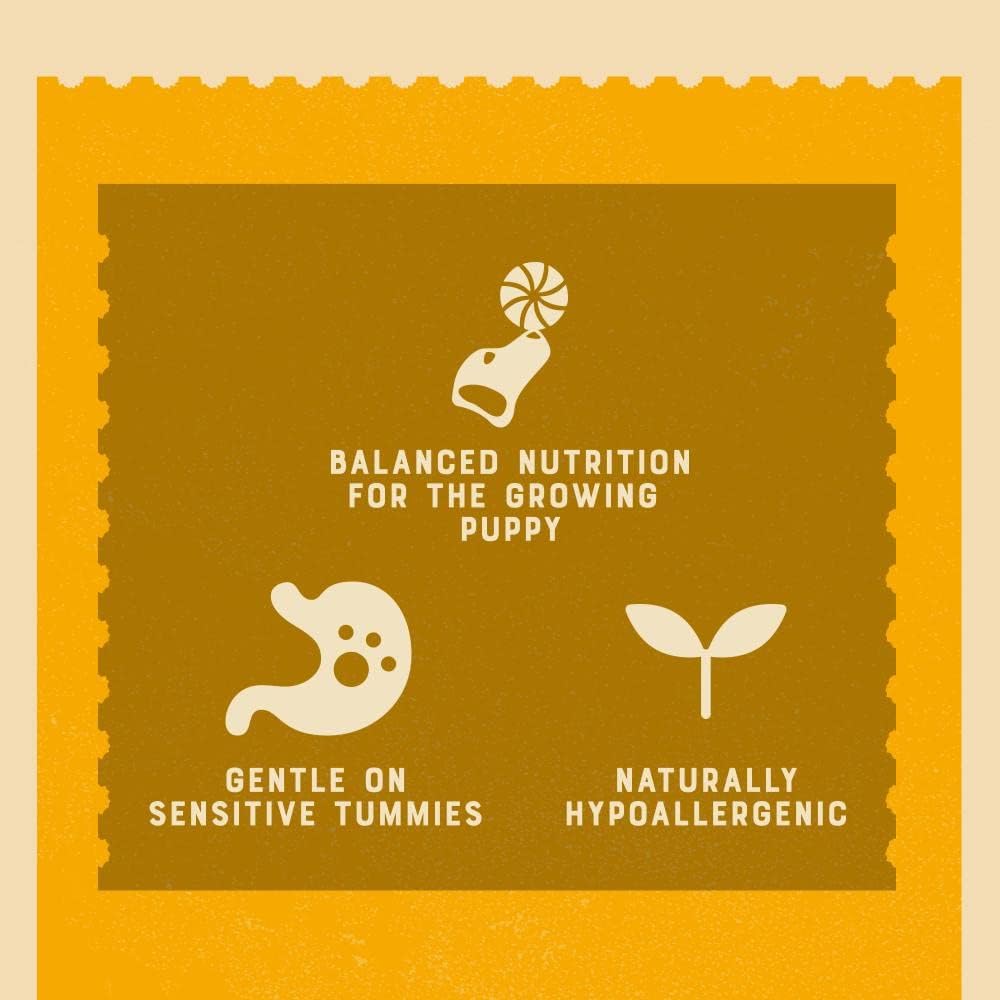 James Wellbeloved Puppy Lamb in Gravy 10 Pouches, Hypoallergenic Wet Dog Food, (10 x 150 g)