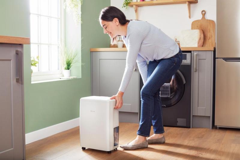 Everdri 10E 10L Dehumidifier