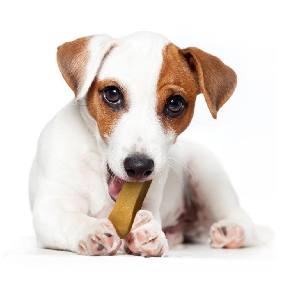 Dog Chew, Extra Large 140g