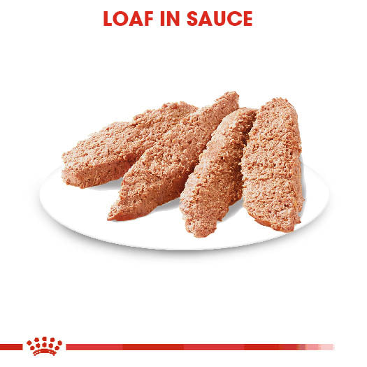 Digestive Care Wet Pouches Adult Dog Food in Loaf, 85g x 12 Pack