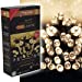 50 LED Multi Action Battery Operated TimeLights, Warm White