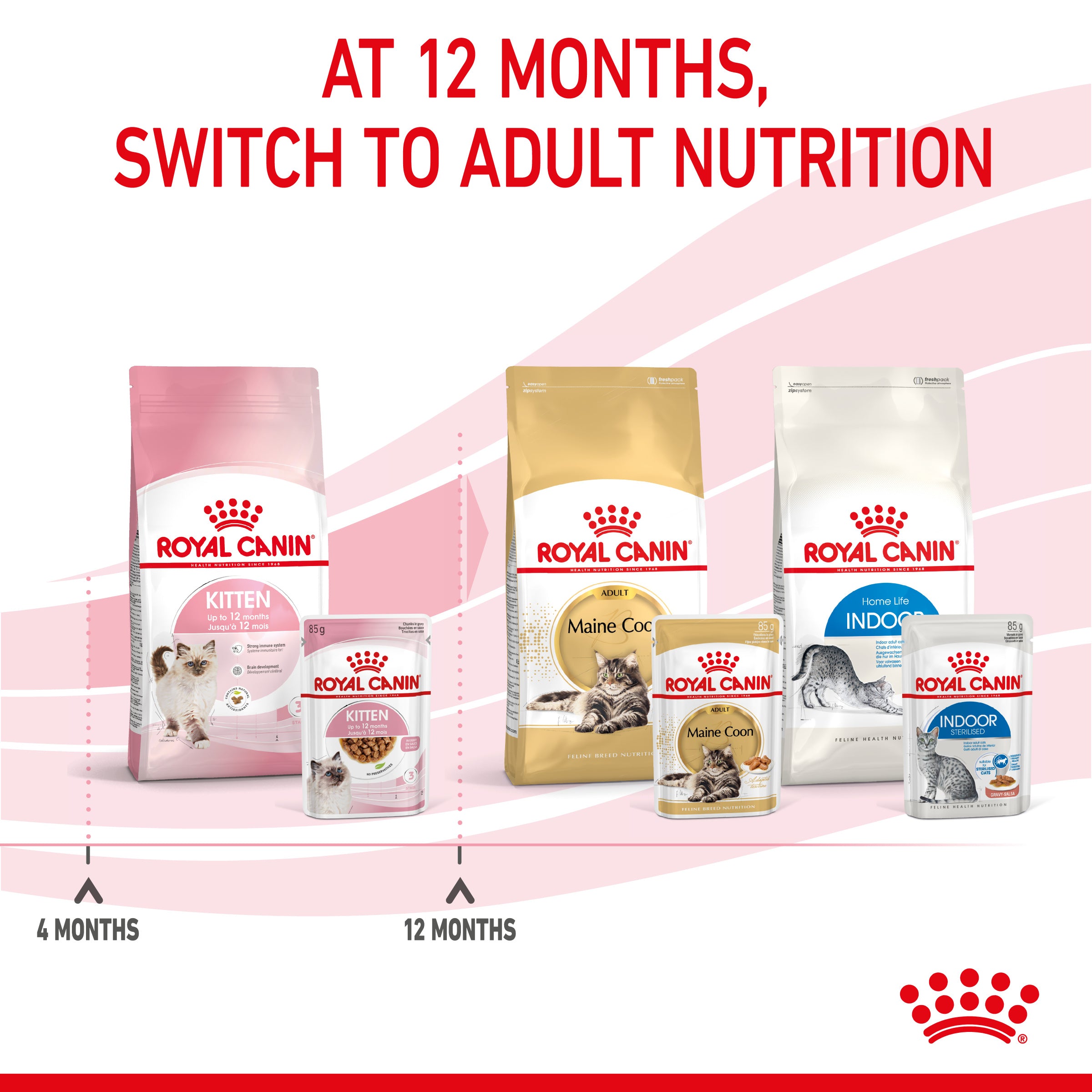 ROYAL CANIN Kitten in Gravy Wet Food, 85g x 12 Pack