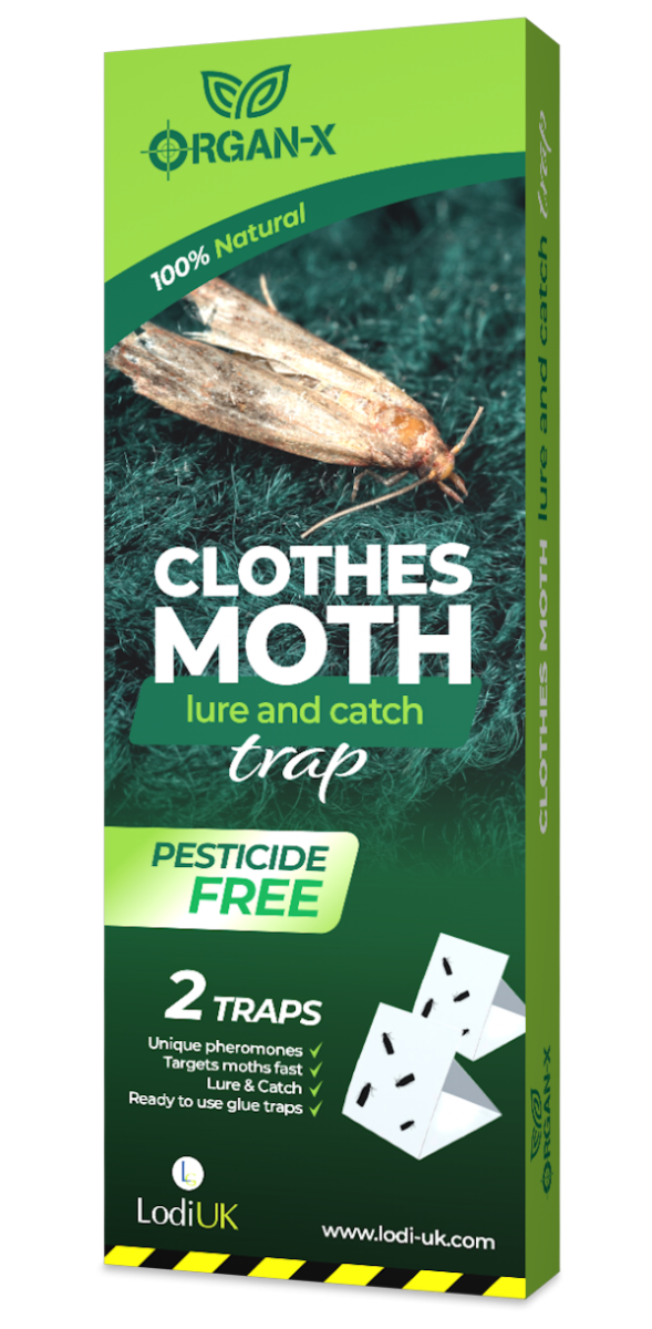 Clothes Moth Glue Trap, 2 Pack