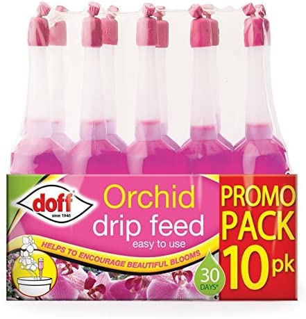 Orchid Drip Feeders - 10 Pack
