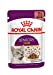 Royal Canin Sensory Taste In Gravy Adult Wet Cat Food, 85g x 12 Pack