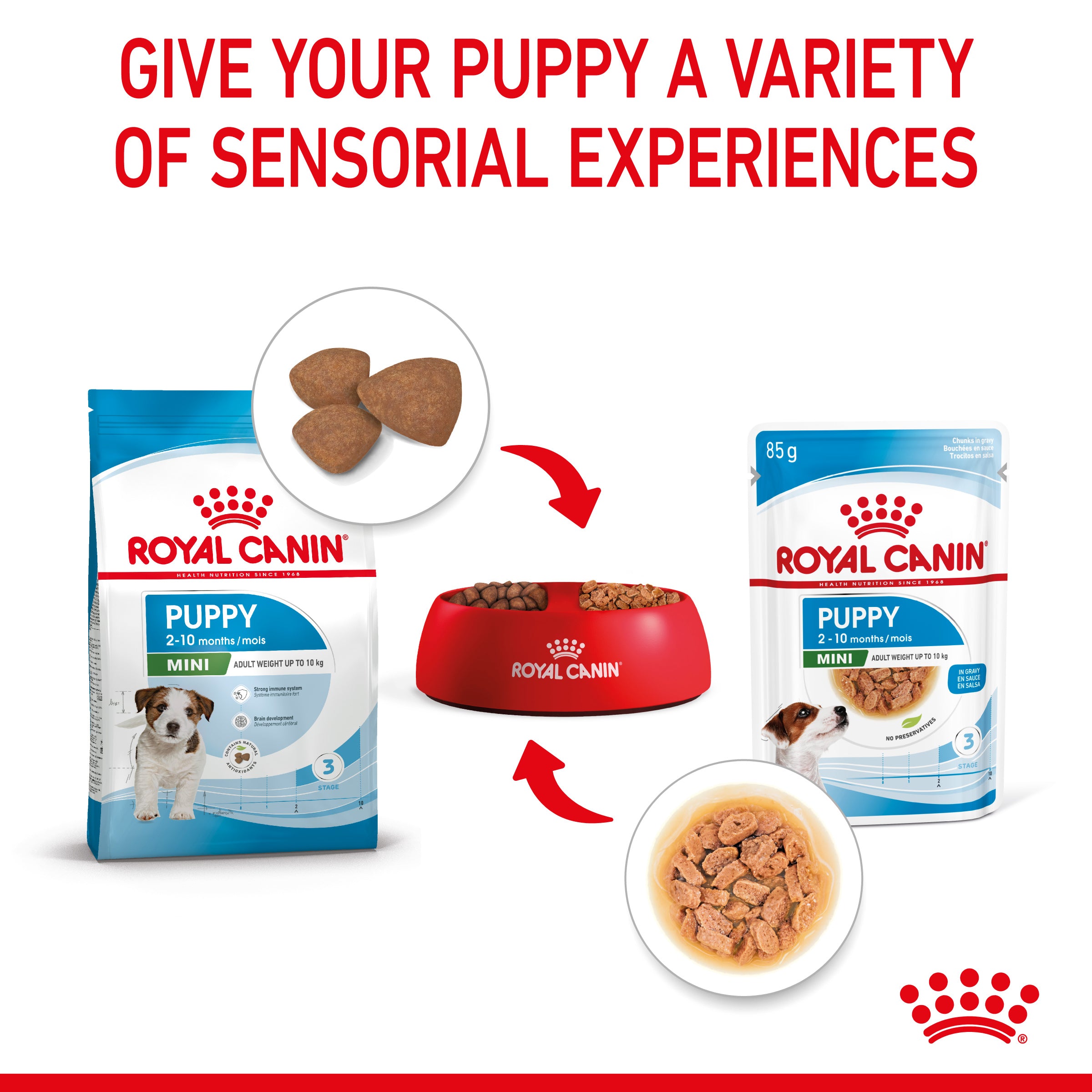 Mini Puppy in Gravy Wet Food, 85g x 12 Pack