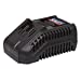 20V Battery Charger for CP20V Series