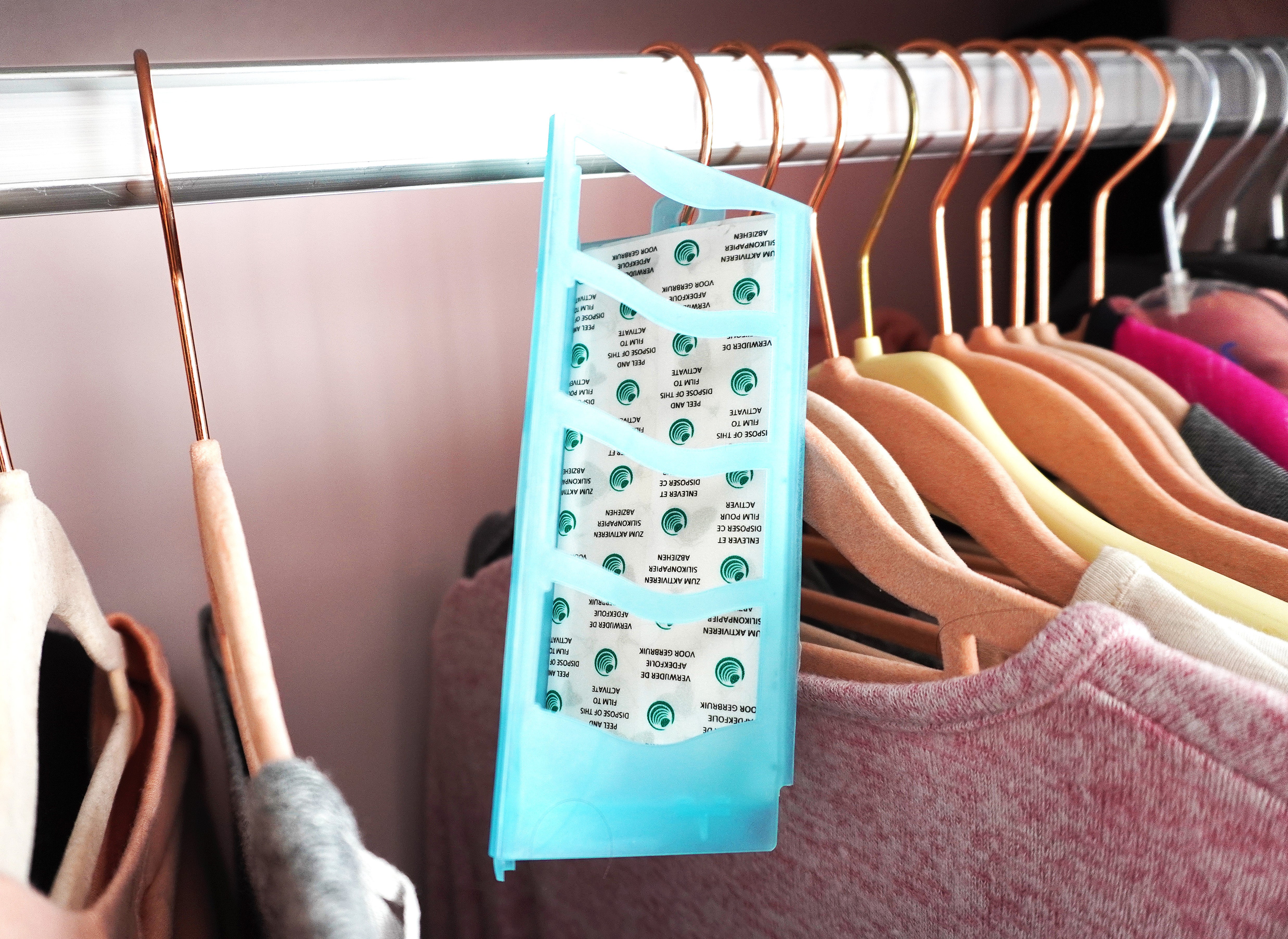 Clothes Moth Glue Trap