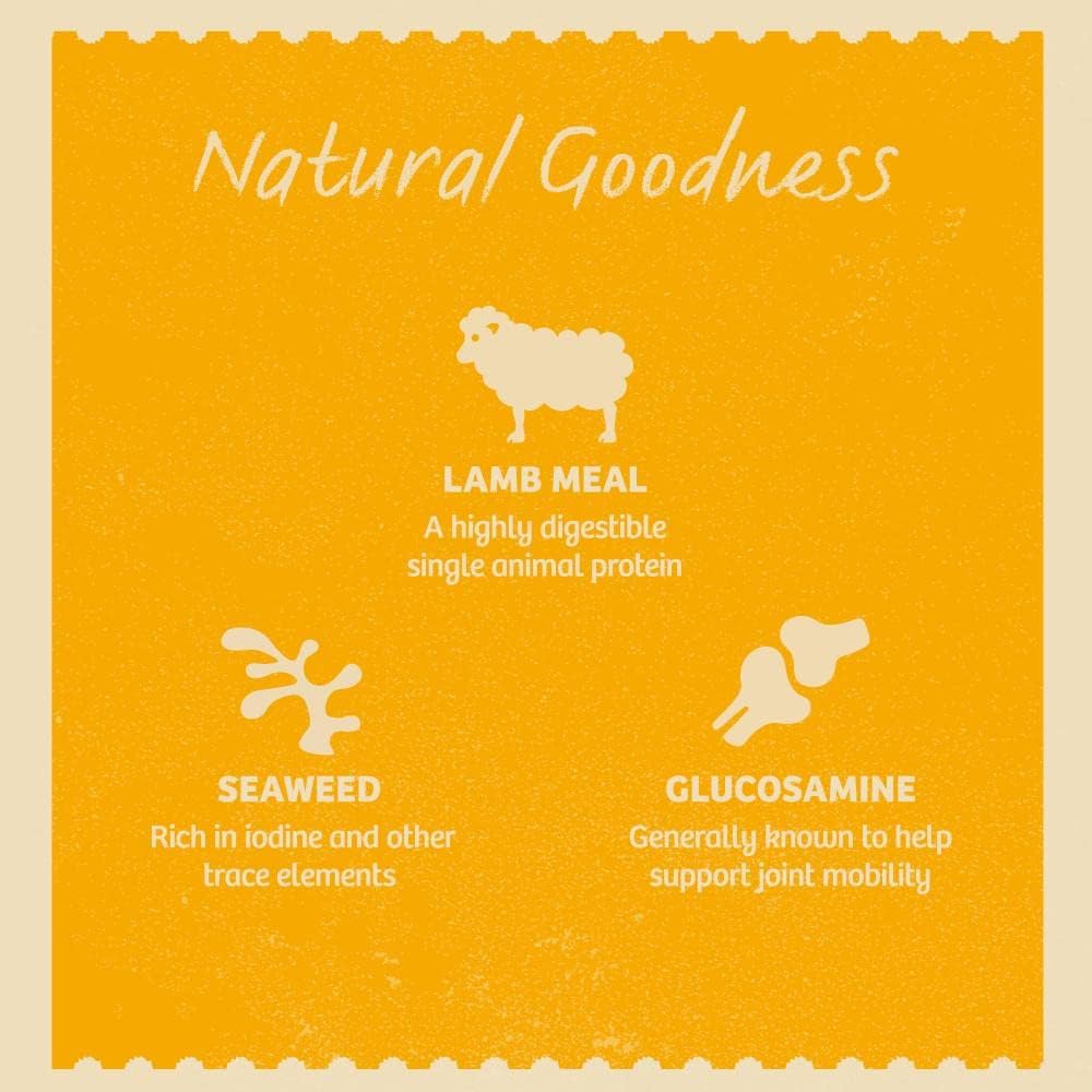 James Wellbeloved Seniour Dog Lamb Pouch 10x150G