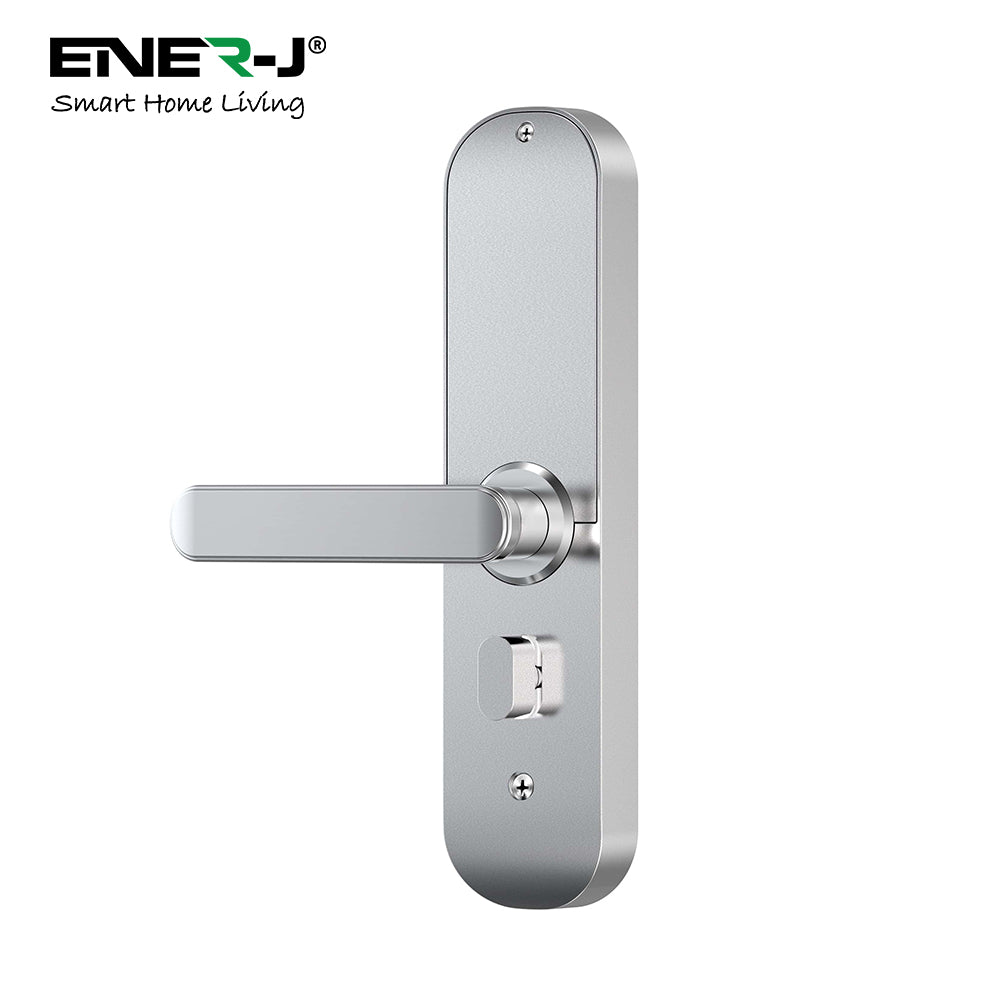 WiFi Smart Door Lock Left Handles - Silver