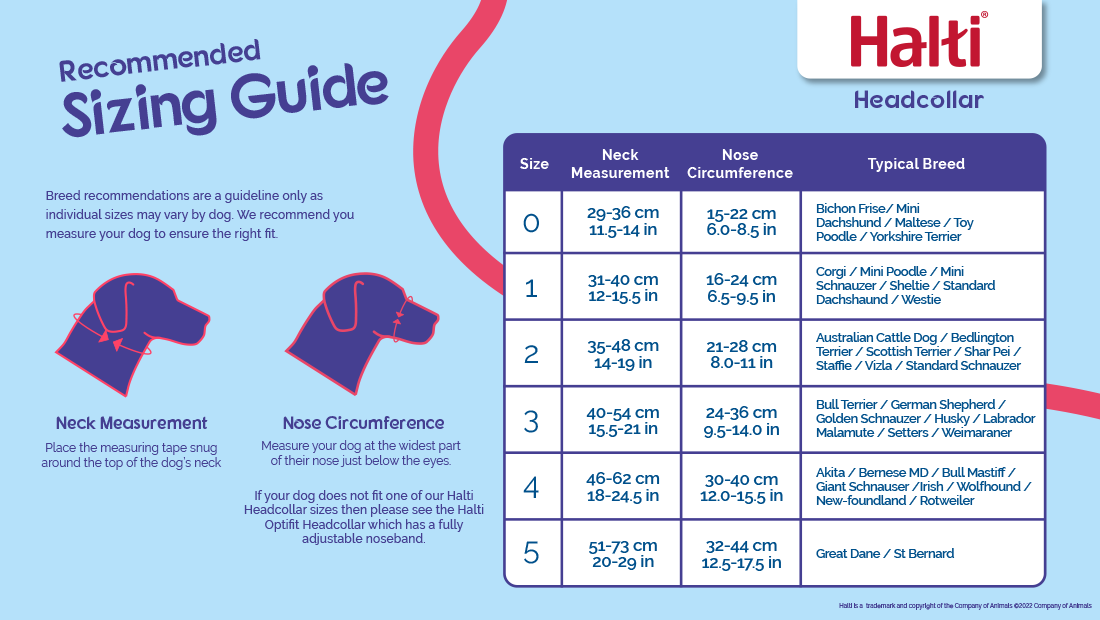 Dog Headcollar, Black, Size 2