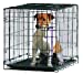 Black Dog Cottage Crate - 61cm
