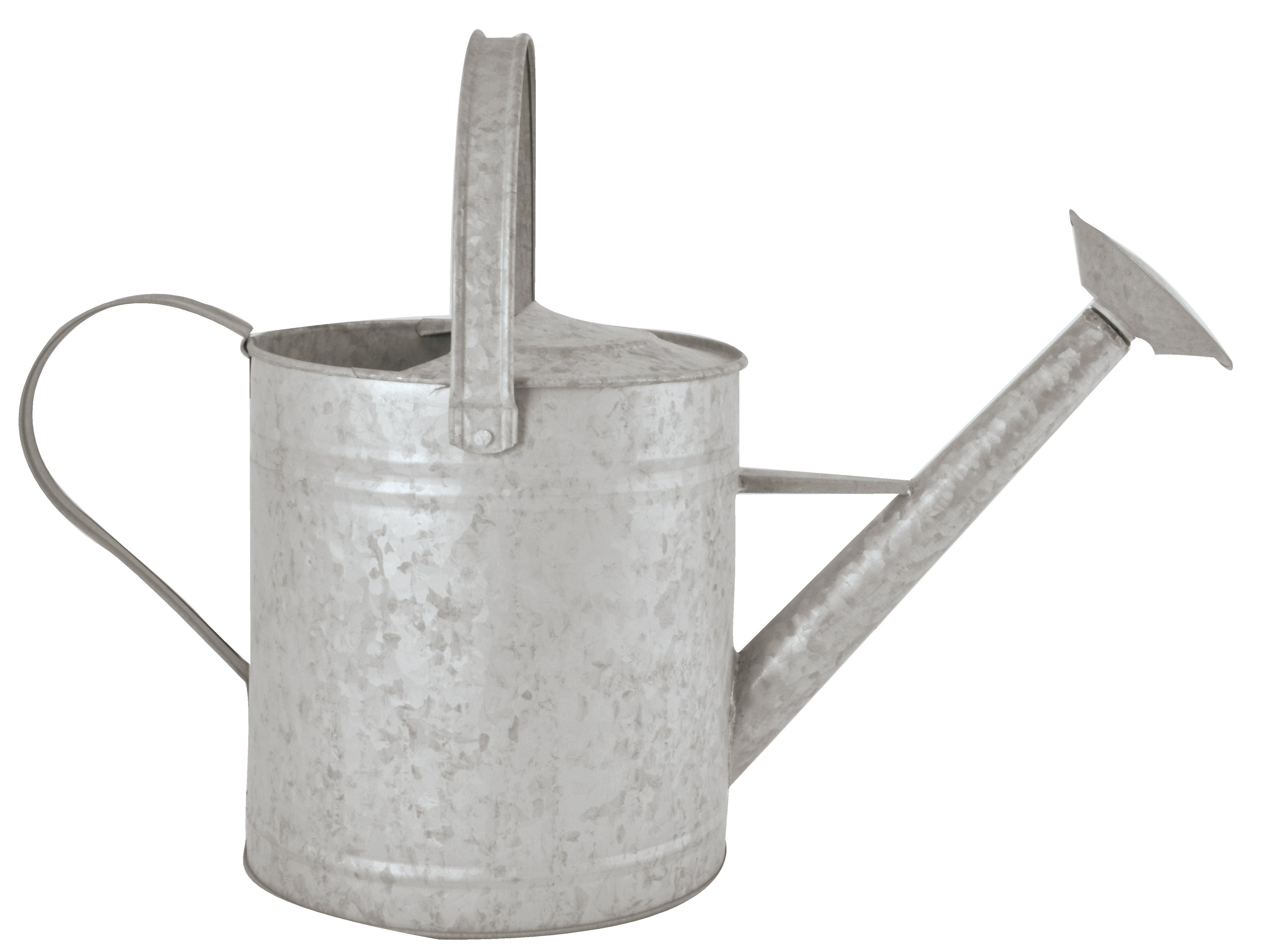 Old Zinc Watering Can, 3.6 Litre