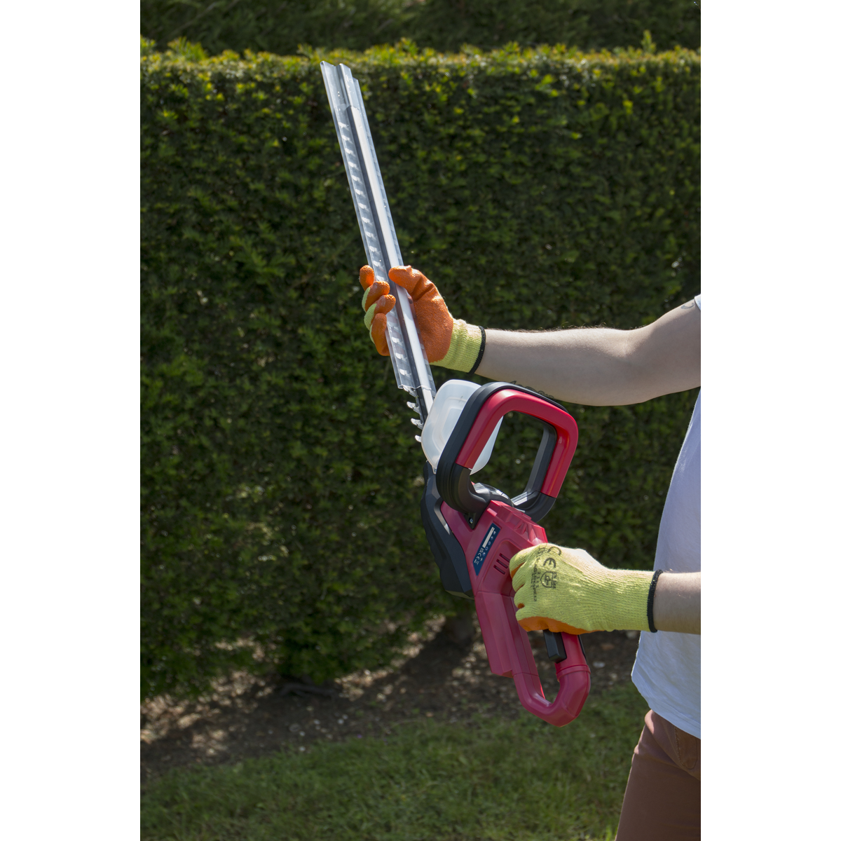 20V Cordless 520mm Hedge Trimmer - Body Only