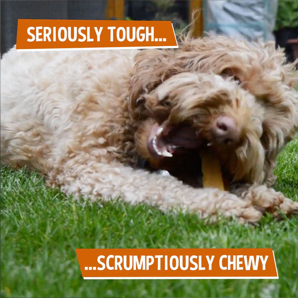 Dog Chew, Extra Large 140g