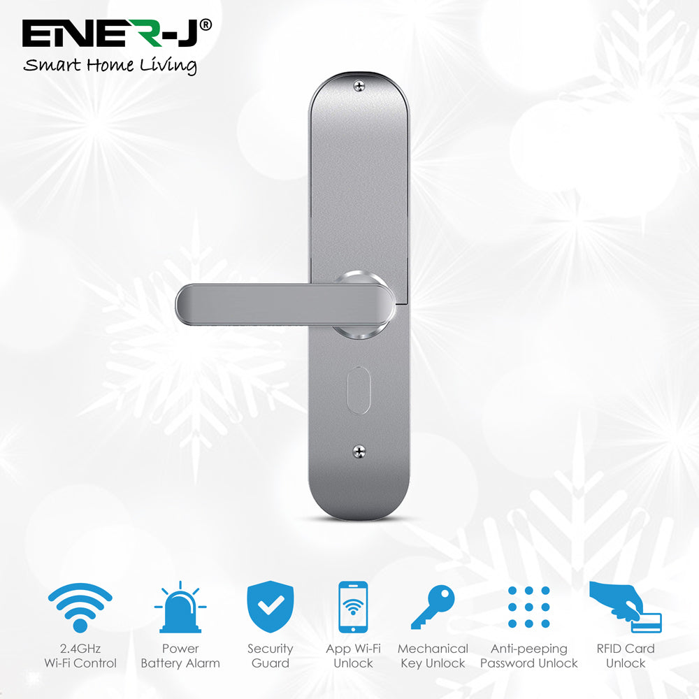 WiFi Smart Door Lock Left Handles - Silver