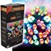 24 LED Multi Action Battery Operated TimeLights, Multi Coloured