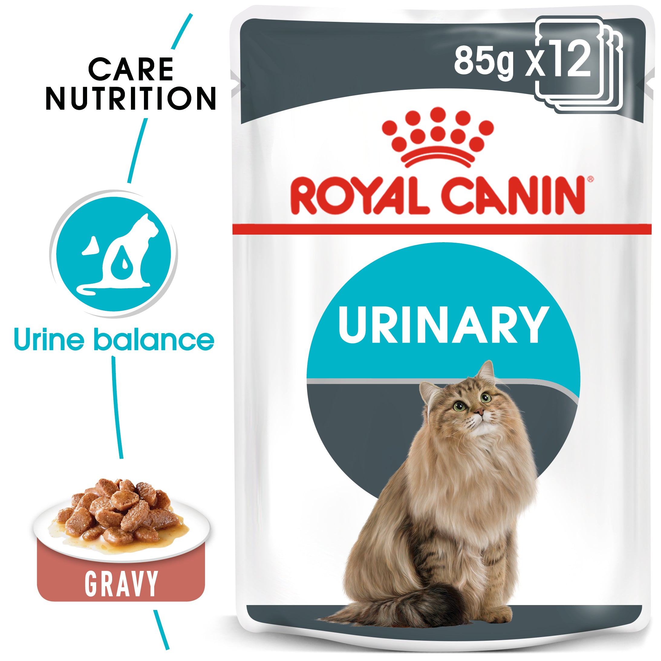 Urinary Care In Gravy Adult Wet Cat Food, 85g x 12 Pack