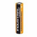 Industrial AA LR6 Professional Alkaline Battery - 10 Battery