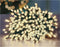 Premier Decorations 1000 LED Multi Action TreeBrights, Warm White