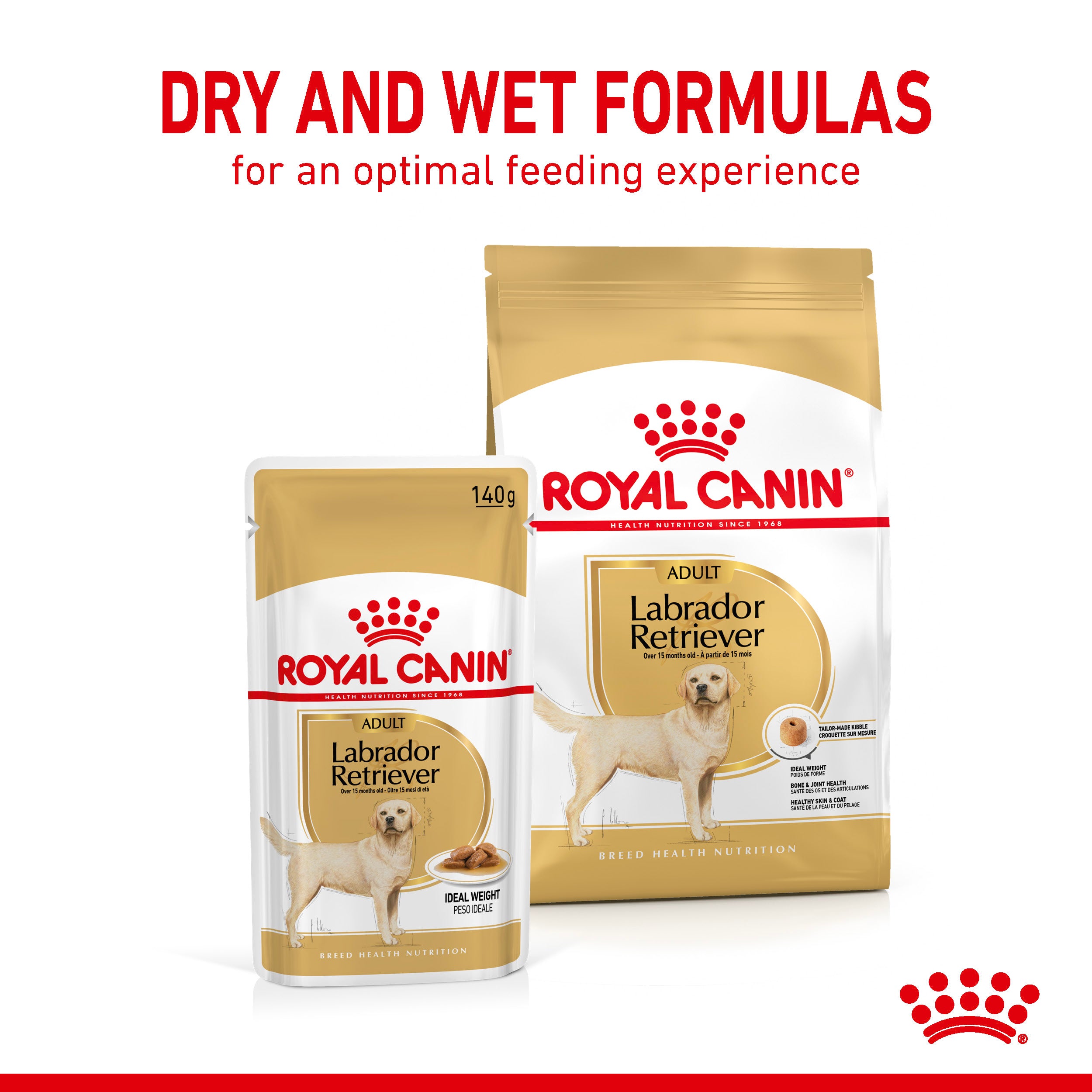 Royal Canin Labrador Retriever Adult in Gravy Wet Dog Food, 140g x 10 Pack