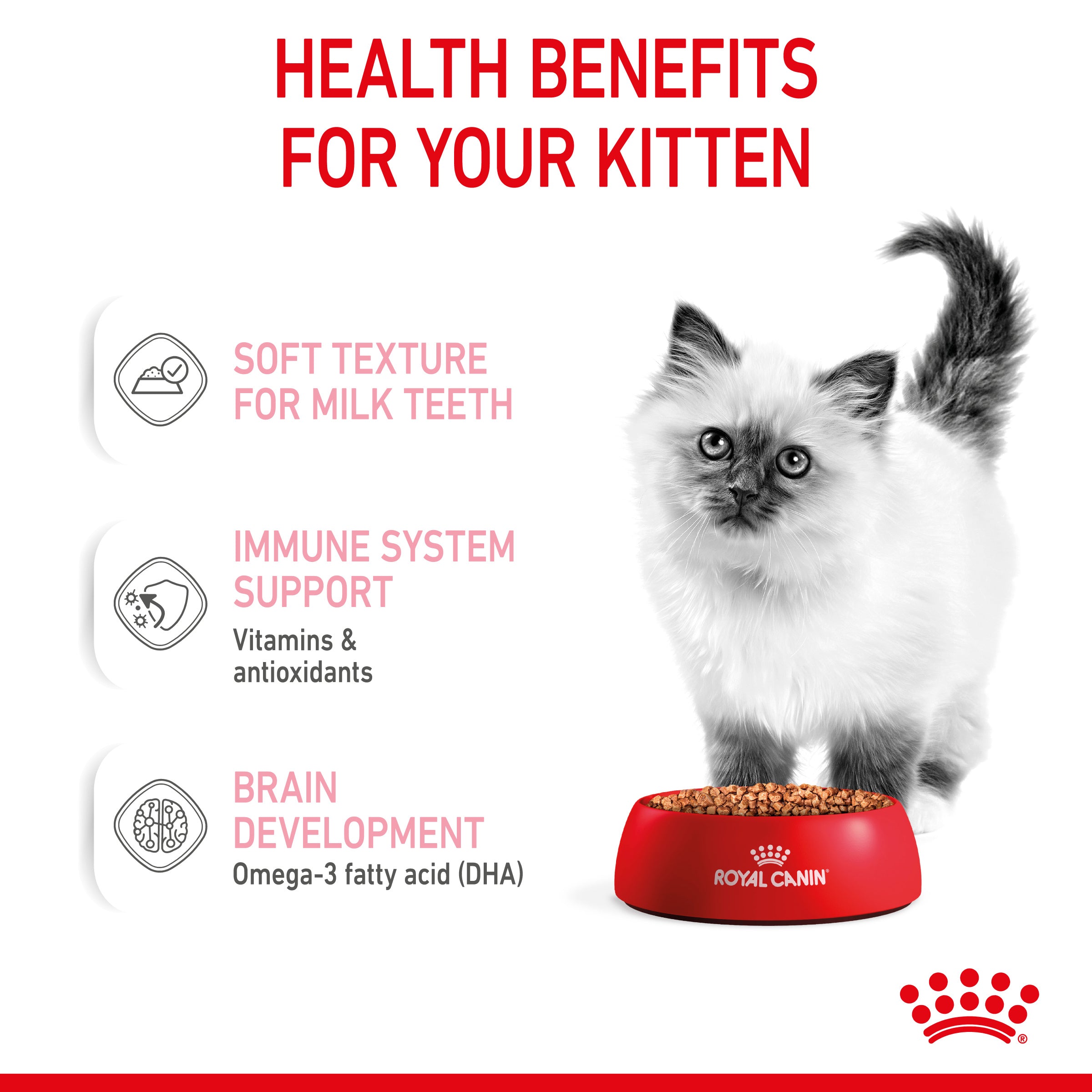 Royal Canin Kitten in Gravy Wet Food, 85g x 12 Pack
