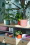 B.for 16cm Soft Round Plastic Indoor Plant Pot - Delicate Pink